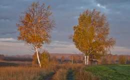 "Von der goldenen Herbst" / ***