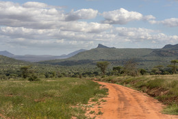 "African Pictures" / ***