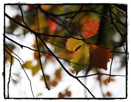 Es ist eine Zeit, Natur viel von der Welt ... / ***