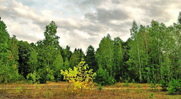 die Kontraste der Herbst / ***