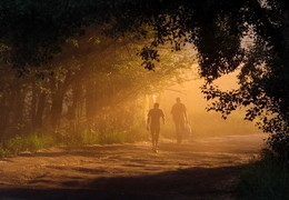 Auf dem Weg in den Abend ... / ***