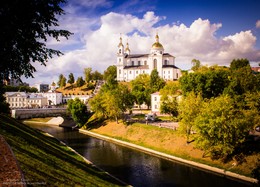 Vitebsk Typen / ***