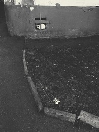  / vsco