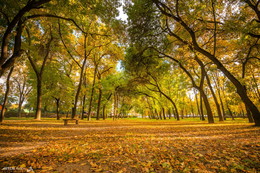 Herbst / ***