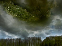 Flut / ***