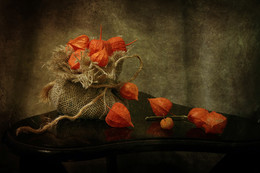 Tasche Herbst / ...