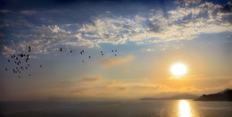 Sonnenuntergangflug ... / ***