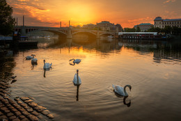 Morgen in Prag / ***