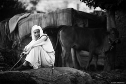 Shepherd ... Pakistan / ***