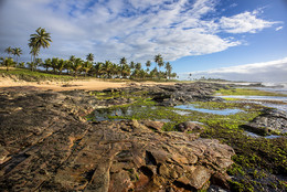 a wild beach.. / ***