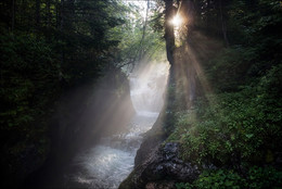Die Ströme von Licht und Wasser / ***