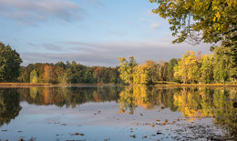 Transparent Autumn / Petrie Isl.