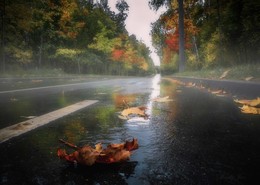 Straße im Herbst atmete .. / ***