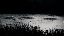Galaxy on Kräutern / ***