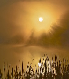 Hot Morgen / ***