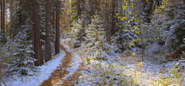 Der erste Schnee / ***