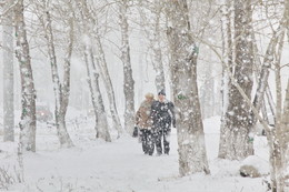 Der erste Schnee / ***