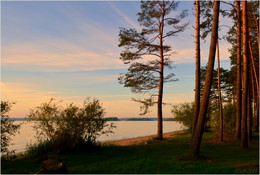 Abend, Strand, Pinien / ***
