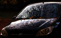 Reflexion der Herbst / ---