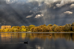 Herbst / ***