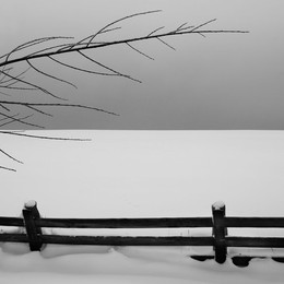 Pale Wind / ***