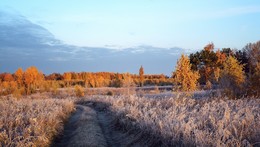 Frostigen Morgen. / ***