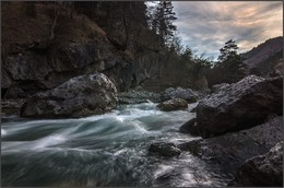 Assa Fluss / ***