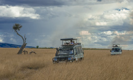 "Auf der Suche nach den Bewohnern von Afrika / ***