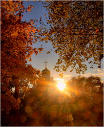 Autumn Gold / ***