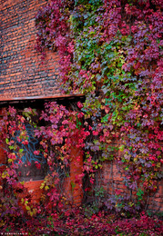 Urbanometriya. Herbst in der Stadt. / ***