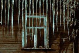 Fenster zur Welt / ***