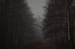 im Nebel / ***