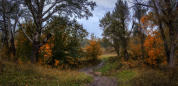 Tales regnerischen Herbst / ***