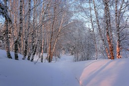 Winterabend. / ***