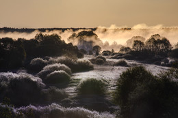 Silver Dawn / ***