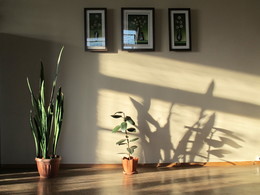 Mauer und Schatten / ***