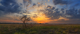 Sonnenuntergang über der Wiese im Oktober / ***
