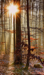 Der erste Schnee / ***