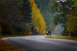 Auf dem Weg zum Fall / ***