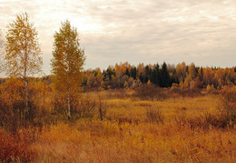 "Autumn ryzheyu Kuh ..." / ***