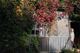 Herbstzeit / ***