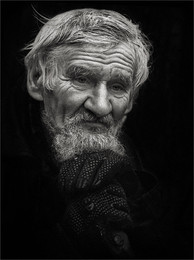 Begleiter / ***