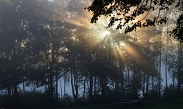 Morgennebel / ***