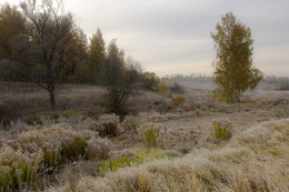 Raureif, Nebel ... / ***