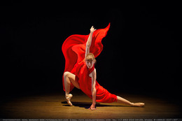 The beauty of ballet / ***