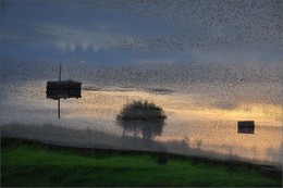 Volatile Boote / ***