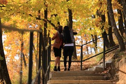 Selbst Herbst / ***