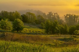 Sonniger Morgen / ***