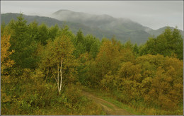 Herbst / ***