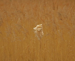 Persönlichkeit / ***